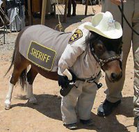 sherrifpony